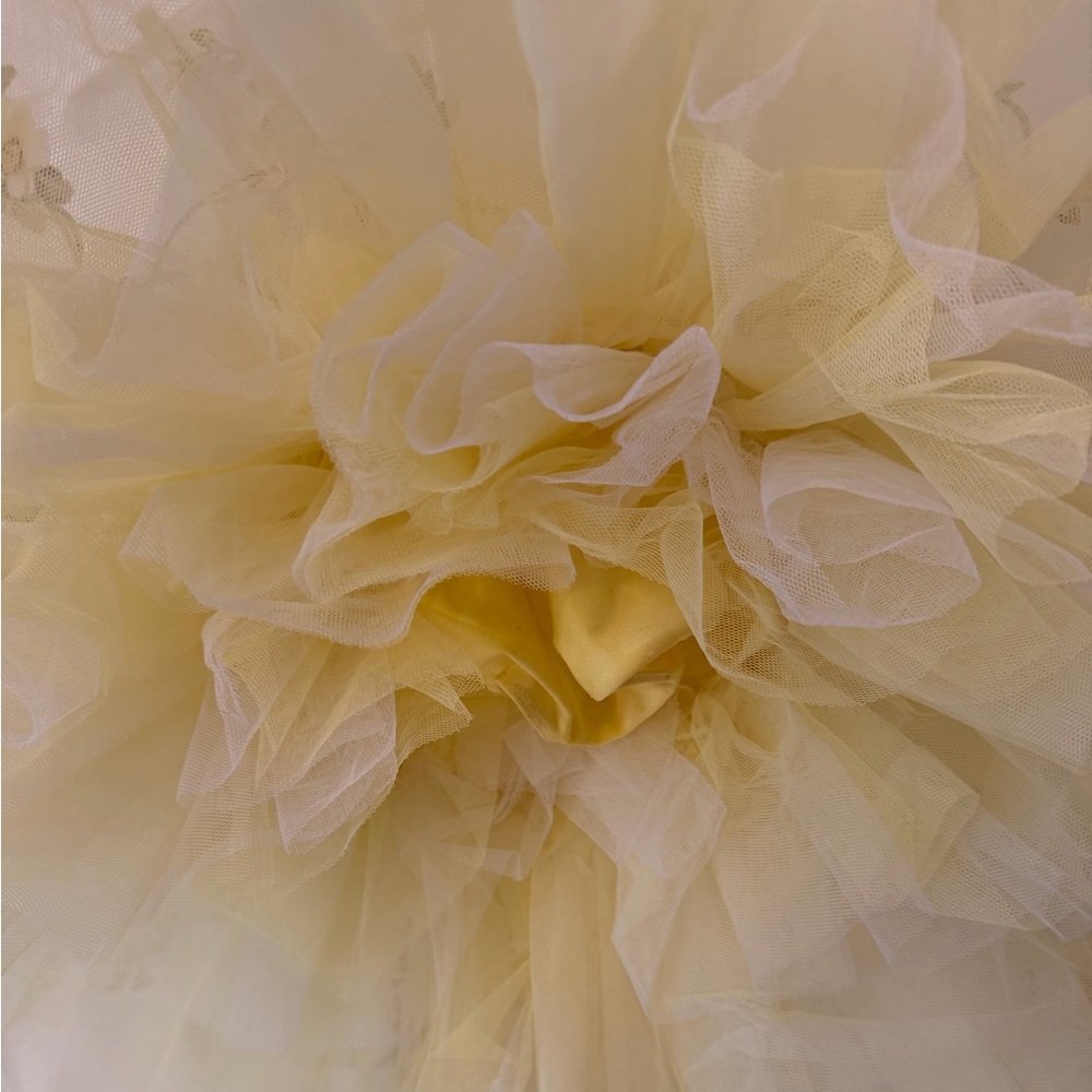 Yellow Floral Dance Costume - Picture 4 of 5